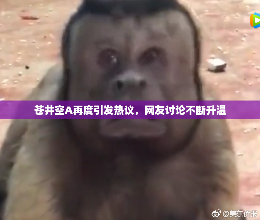 苍井空A再度引发热议，网友讨论不断升温