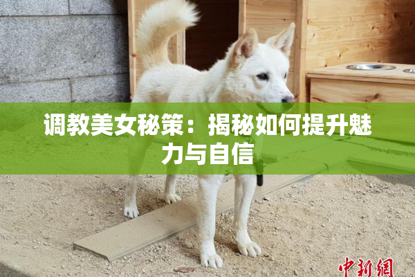 调教美女秘策：揭秘如何提升魅力与自信