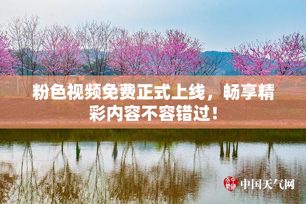 粉色视频免费正式上线，畅享精彩内容不容错过！