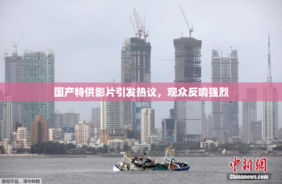 国产特供影片引发热议，观众反响强烈