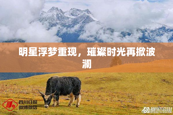 明星浮梦重现，璀璨时光再掀波澜