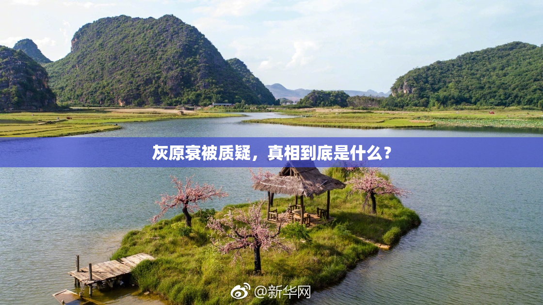 灰原衰被质疑，真相到底是什么？