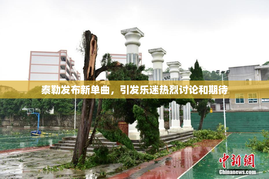 泰勒发布新单曲，引发乐迷热烈讨论和期待