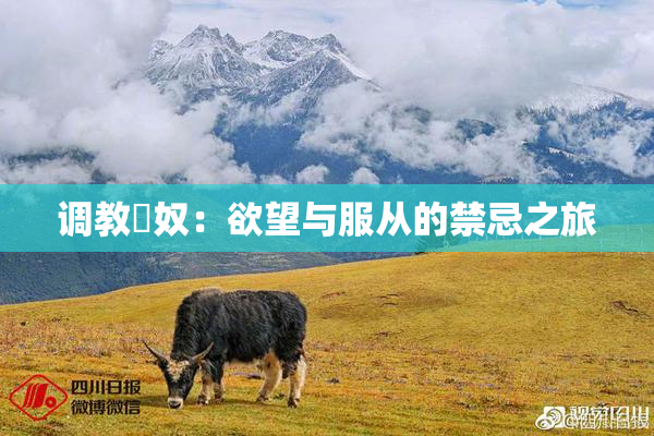 调教婬奴：欲望与服从的禁忌之旅
