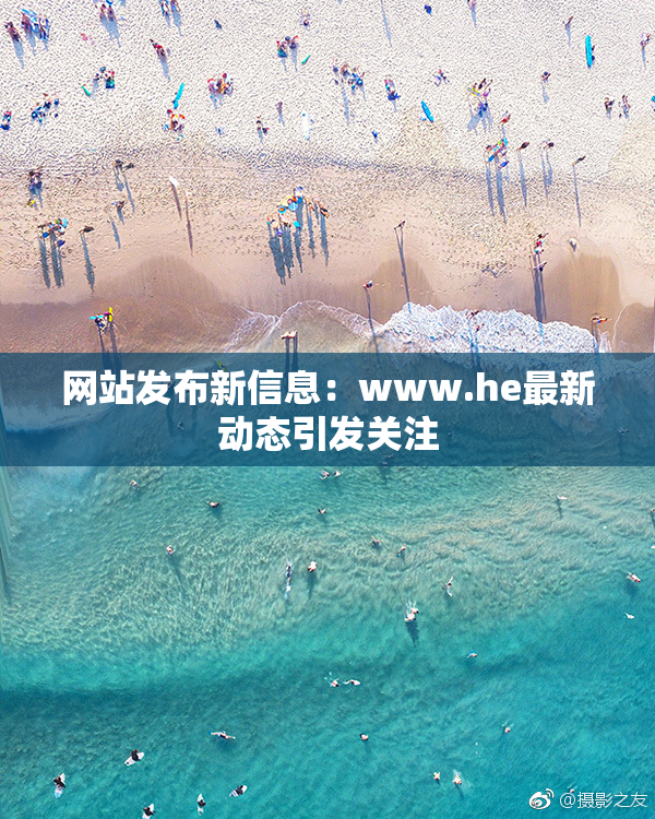 网站发布新信息：www.he最新动态引发关注