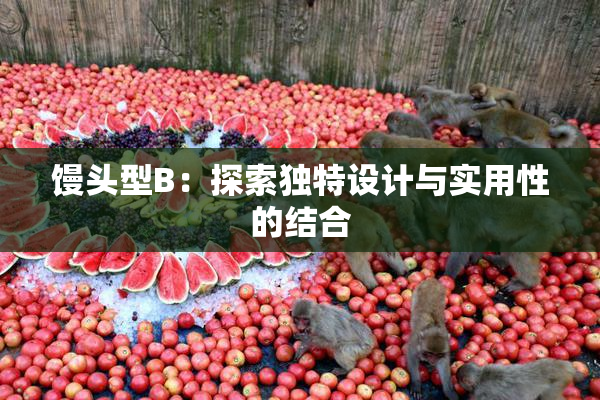 馒头型B：探索独特设计与实用性的结合