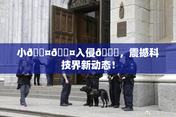 小🐤🐤入侵🍑，震撼科技界新动态！