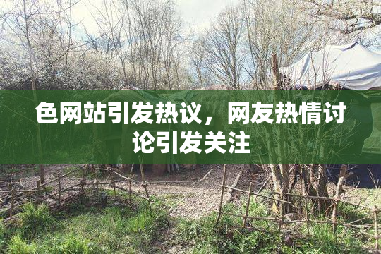 色网站引发热议，网友热情讨论引发关注