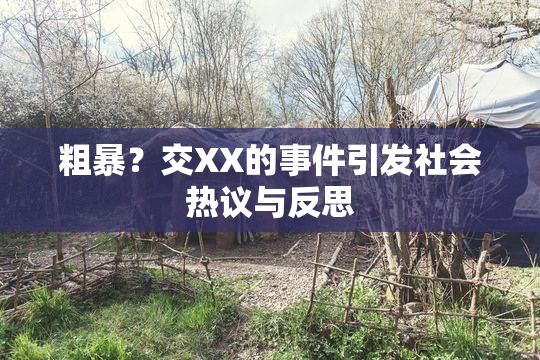 粗暴？交XX的事件引发社会热议与反思