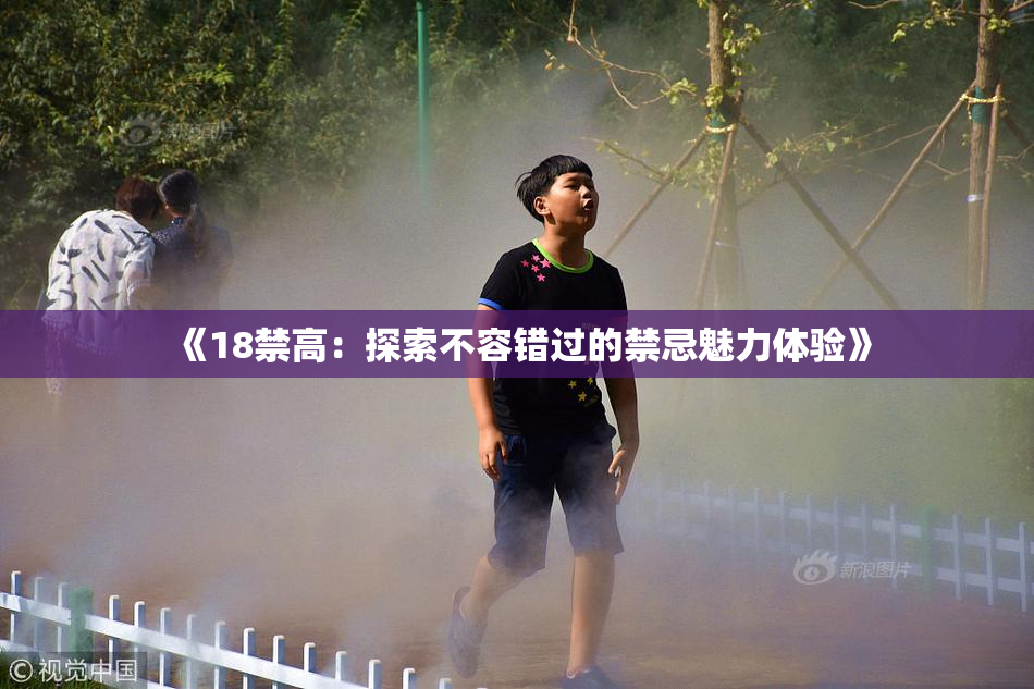 《18禁高：探索不容错过的禁忌魅力体验》