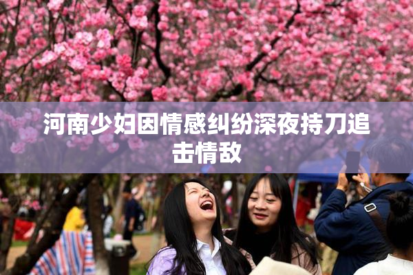 河南少妇因情感纠纷深夜持刀追击情敌