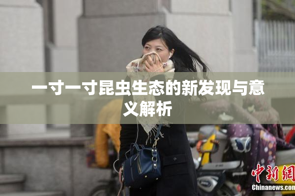 一寸一寸昆虫生态的新发现与意义解析