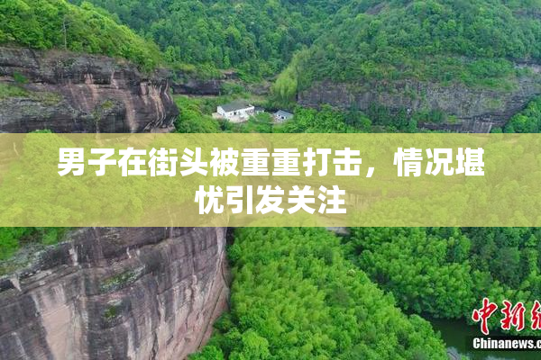 男子在街头被重重打击，情况堪忧引发关注