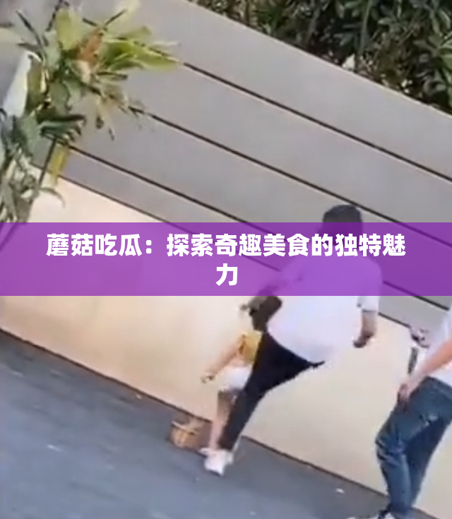 蘑菇吃瓜：探索奇趣美食的独特魅力