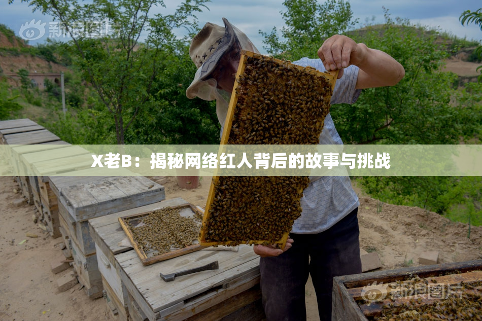 X老B：揭秘网络红人背后的故事与挑战