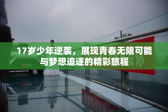 17岁少年逆袭，展现青春无限可能与梦想追逐的精彩旅程