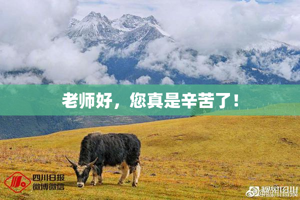 老师好，您真是辛苦了！
