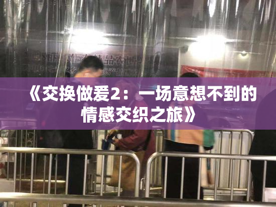 《交换做爰2：一场意想不到的情感交织之旅》
