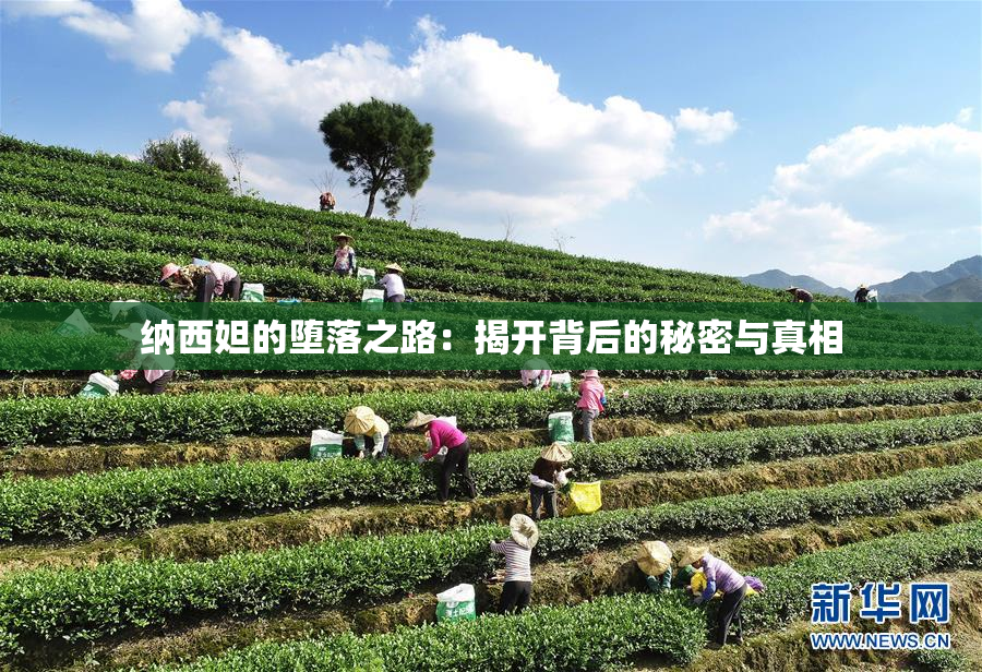 纳西妲的堕落之路：揭开背后的秘密与真相