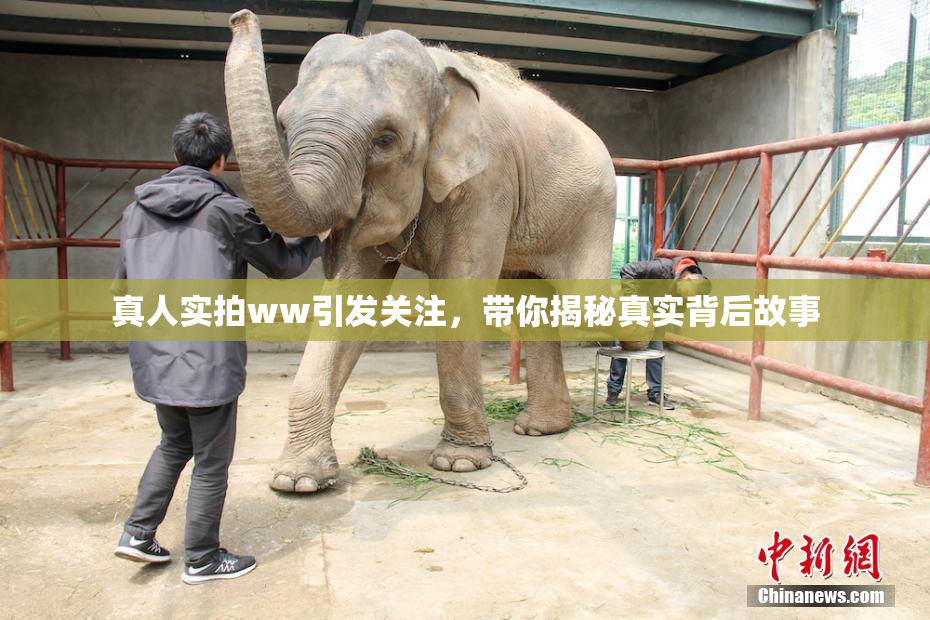 真人实拍ww引发关注，带你揭秘真实背后故事