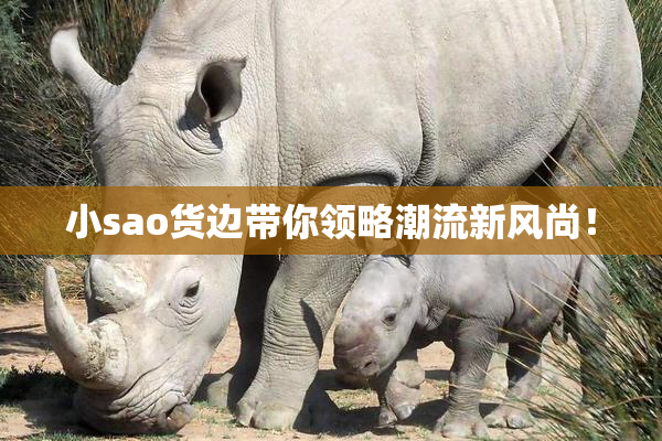 小sao货边带你领略潮流新风尚！