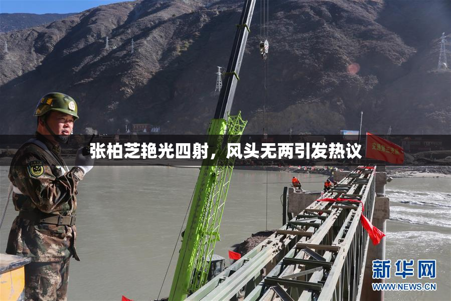 张柏芝艳光四射，风头无两引发热议