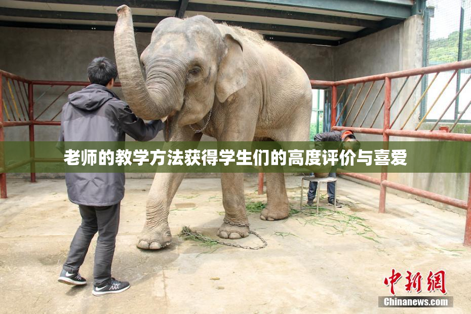 老师的教学方法获得学生们的高度评价与喜爱