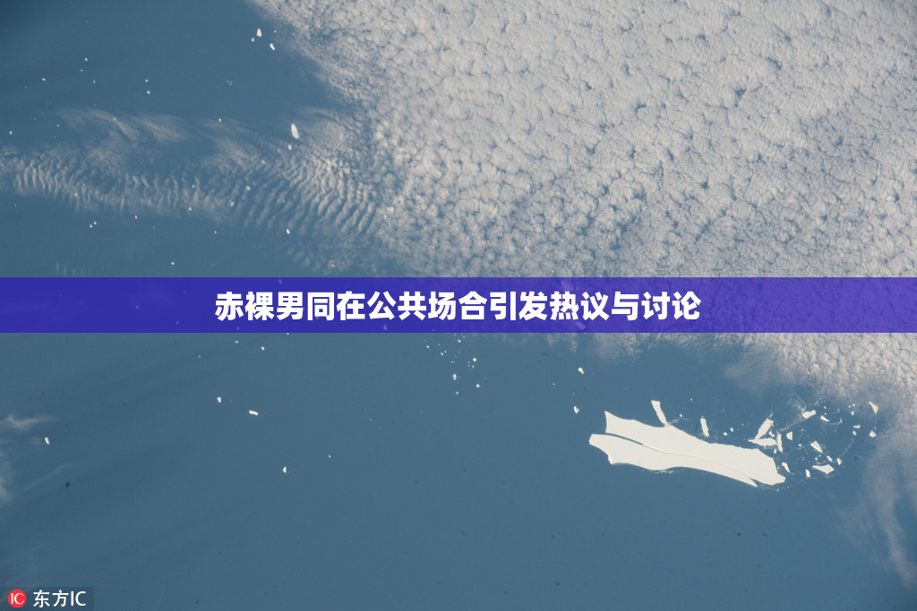 赤裸男同在公共场合引发热议与讨论