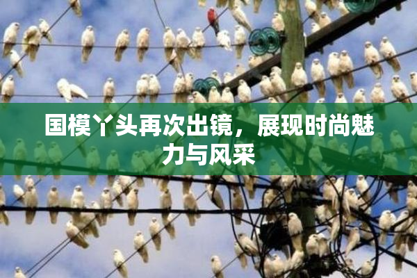 国模丫头再次出镜，展现时尚魅力与风采