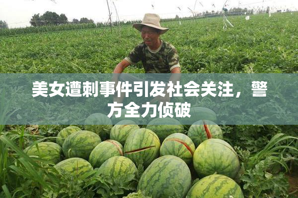 美女遭刺事件引发社会关注，警方全力侦破
