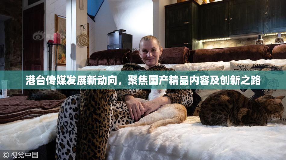 港台传媒发展新动向，聚焦国产精品内容及创新之路