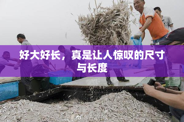 好大好长，真是让人惊叹的尺寸与长度