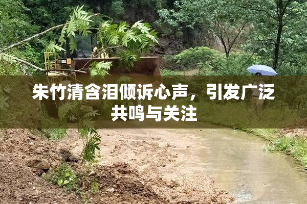 朱竹清含泪倾诉心声，引发广泛共鸣与关注
