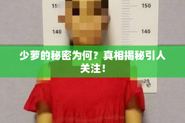 少萝的秘密为何？真相揭秘引人关注！