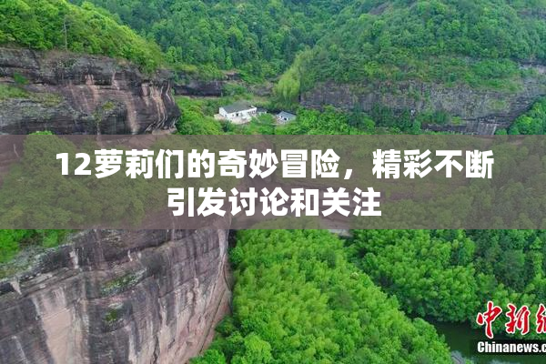 12萝莉们的奇妙冒险，精彩不断引发讨论和关注
