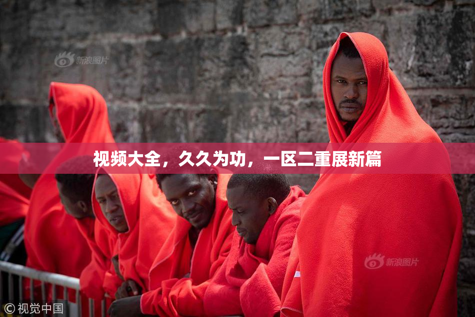 视频大全，久久为功，一区二重展新篇