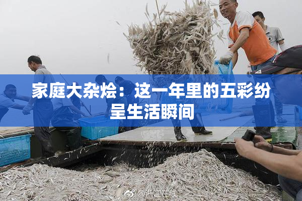 家庭大杂烩：这一年里的五彩纷呈生活瞬间