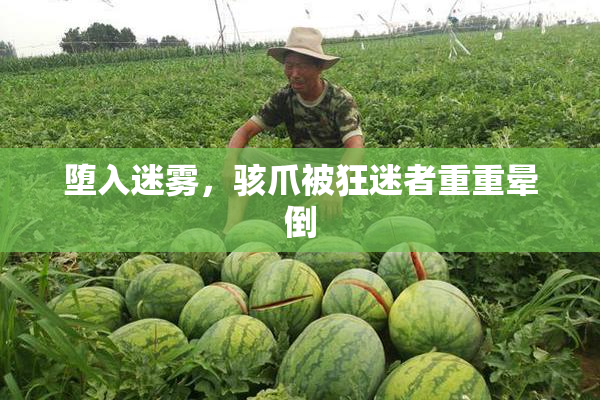 堕入迷雾，骇爪被狂迷者重重晕倒