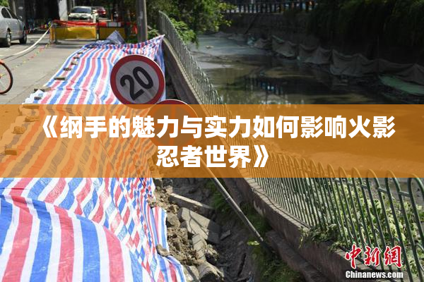 《纲手的魅力与实力如何影响火影忍者世界》