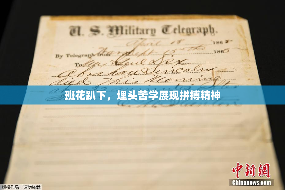 班花趴下，埋头苦学展现拼搏精神