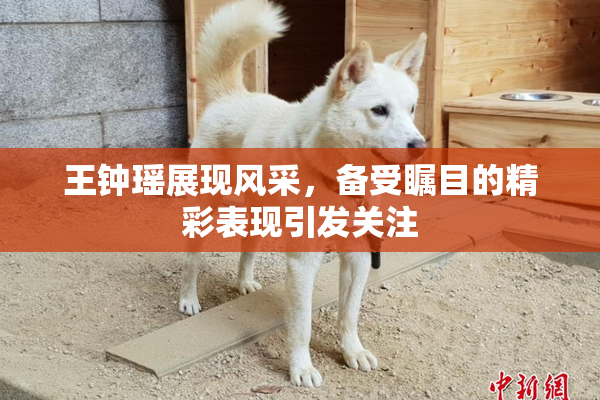 王钟瑶展现风采，备受瞩目的精彩表现引发关注