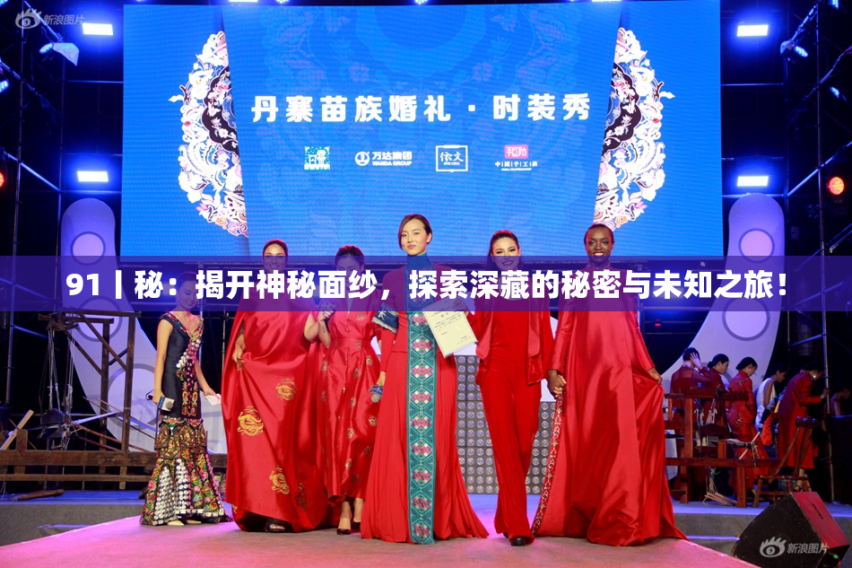 91丨秘：揭开神秘面纱，探索深藏的秘密与未知之旅！