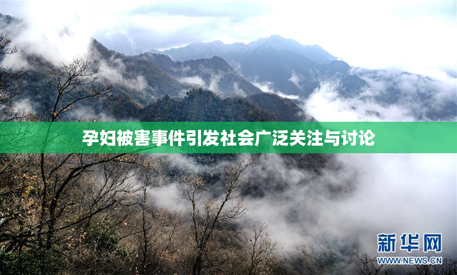 孕妇被害事件引发社会广泛关注与讨论