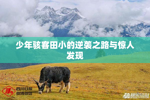 少年骇客田小的逆袭之路与惊人发现