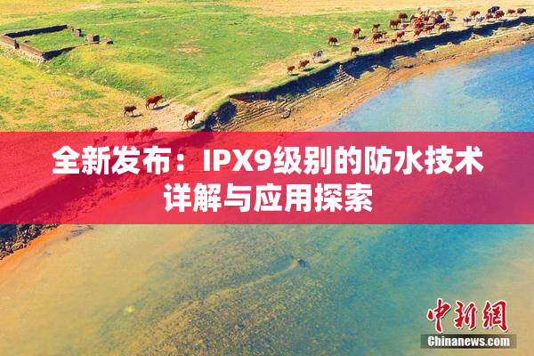 全新发布：IPX9级别的防水技术详解与应用探索