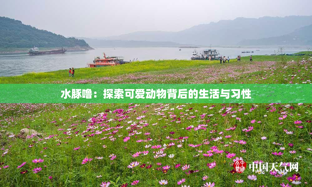 水豚噜:探索可爱动物背后的生活与习性