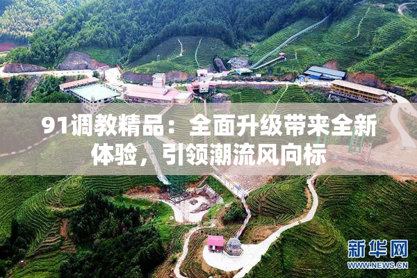 91调教精品：全面升级带来全新体验，引领潮流风向标