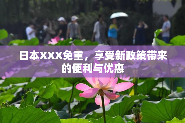 日本XXX免重，享受新政策带来的便利与优惠
