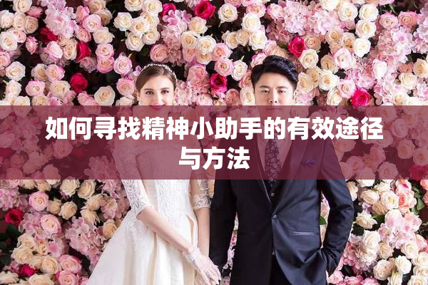 如何寻找精神小助手的有效途径与方法