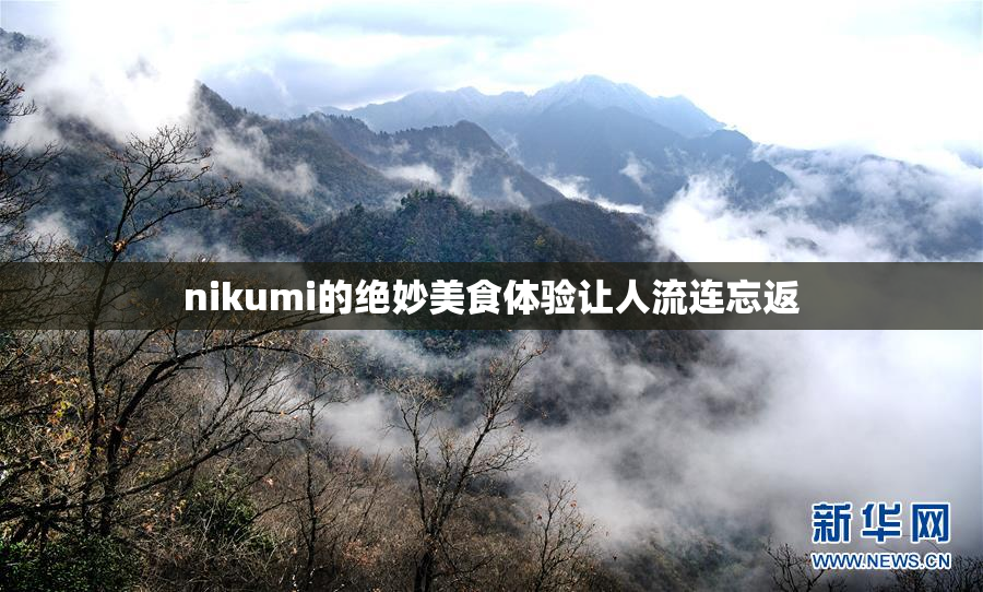 nikumi的绝妙美食体验让人流连忘返